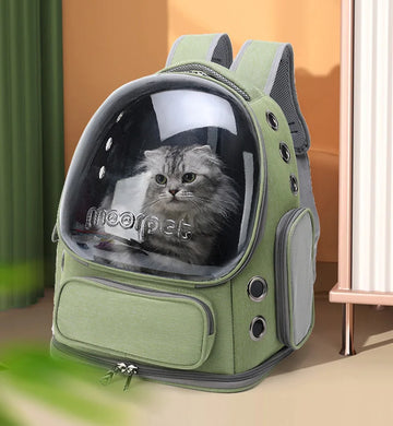 Transparent cat carrier